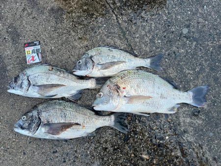 雨の中投げてきました