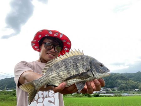 トップチヌゲーム