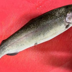 木郷滝自然つりセンター