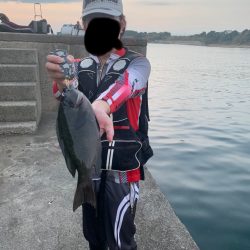 無人の漁港には…