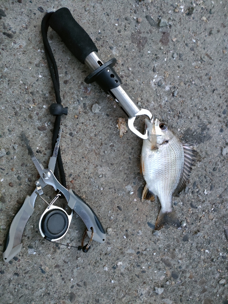 チビレ達の後に…