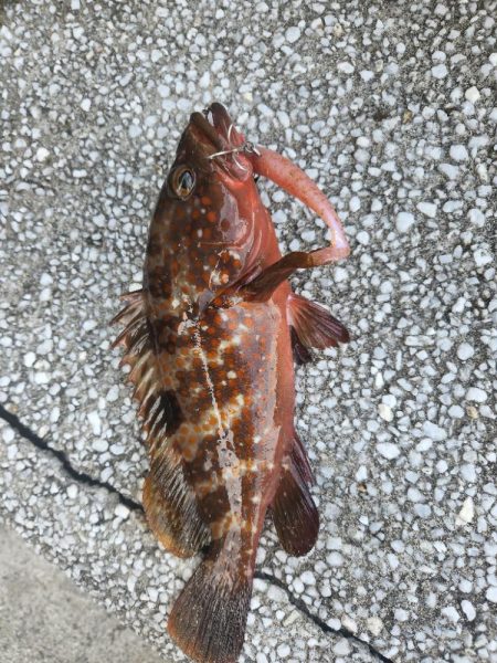 はじめての場所で