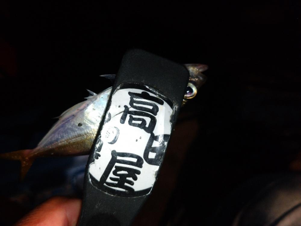 豆アジリベンジ👍