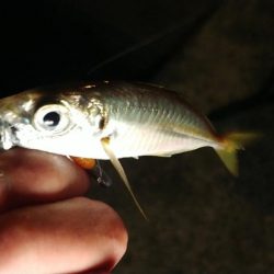 台風後明け厳しい天候の潮岬