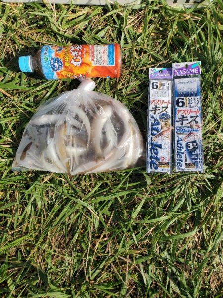 久々に敦賀でキス釣り