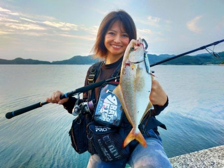 ジグパラダメージ鱗でライトショアジギング！…