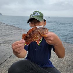 雨の中、のませでガシラ