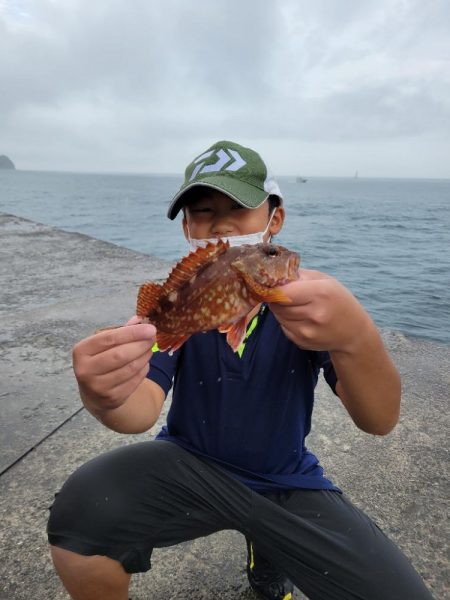 雨の中、のませでガシラ