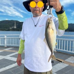 久しぶりの青物