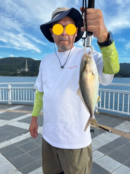 久しぶりの青物