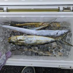 神戸でペンペン