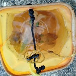 エギングin沖縄