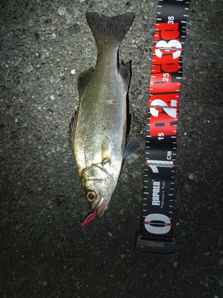 関門海峡　ライトゲーム