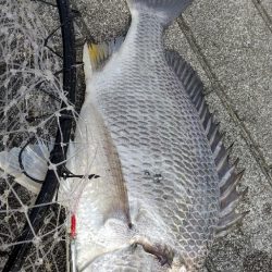 真夏のショアジギ