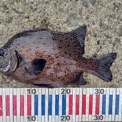 沖ノ島遠征1日目