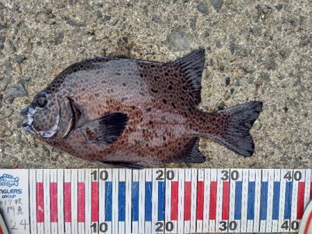 沖ノ島遠征1日目