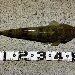 久しぶりの釣り