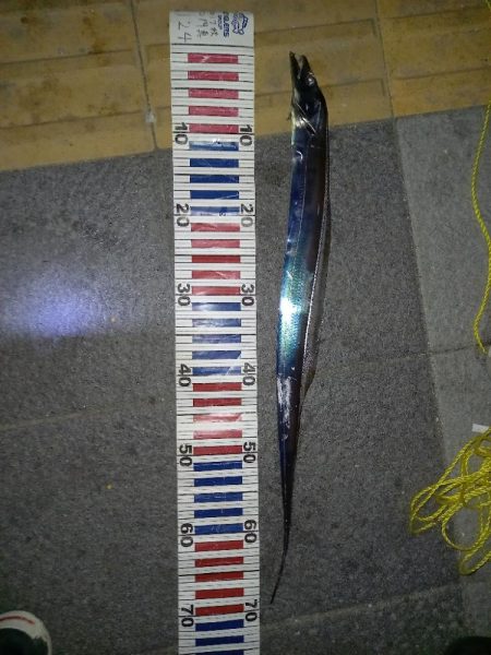 マリーナタチウオ