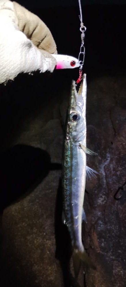 涼しくなってきました