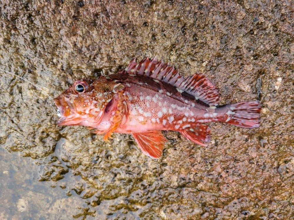 遠征(三重県前半)