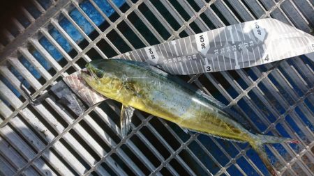 狙いのシオ反応なくペンペン…