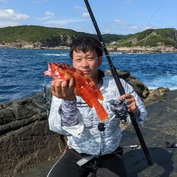 南紀沖のセシマ