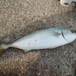 小さくても連敗脱出