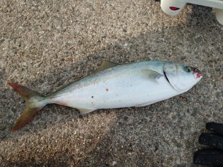 小さくても連敗脱出