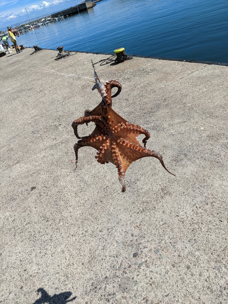 今期二杯目！！