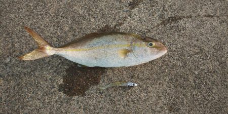 17時30分過ぎに❗…