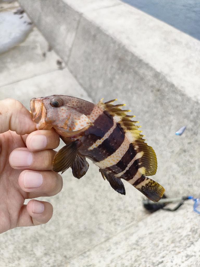 先日のリベンジ！