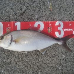 渋い中、ワンバイトワンキャッチ