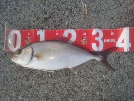 渋い中、ワンバイトワンキャッチ