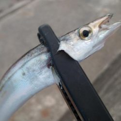 釣りツーリングキャンプ2日目