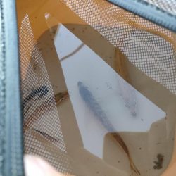 おNewのリールで♪