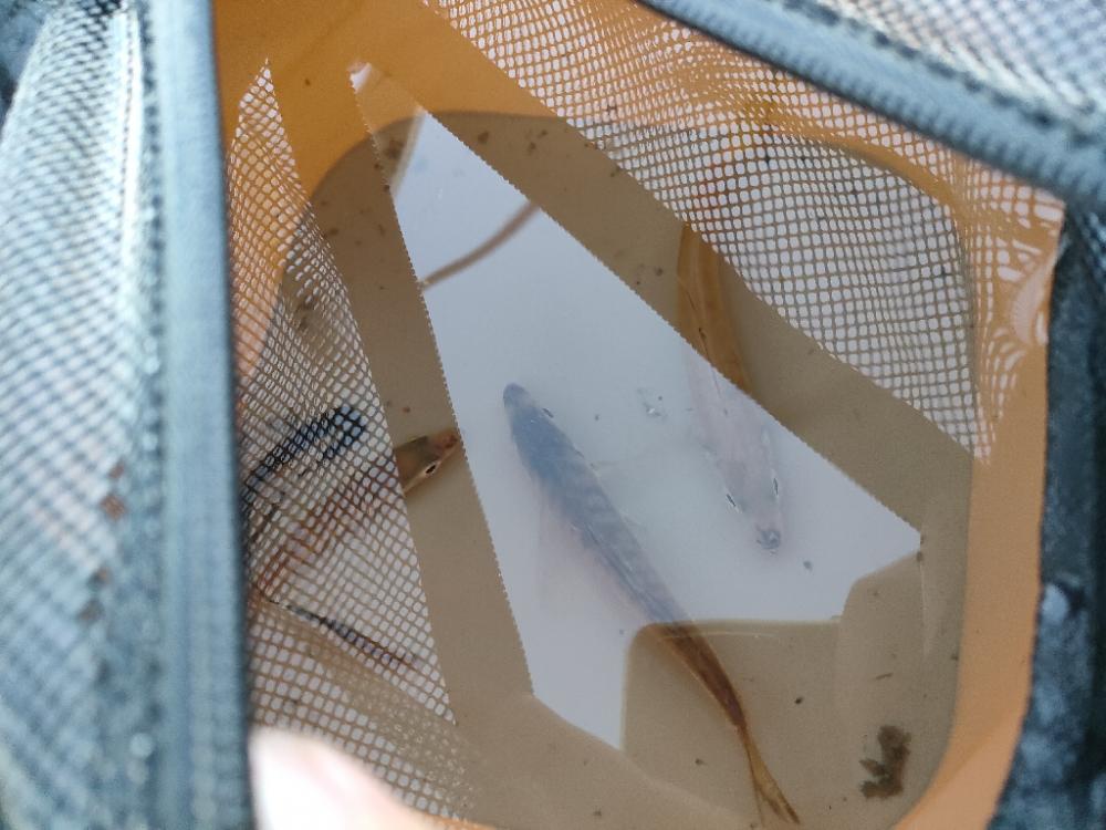 おNewのリールで♪