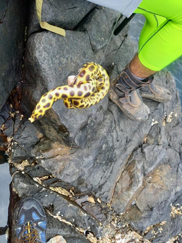 沖ノ島遠征２日目