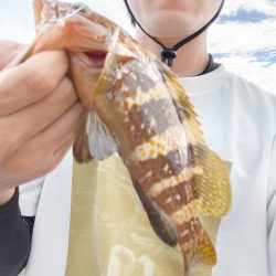 またも浜田港にて