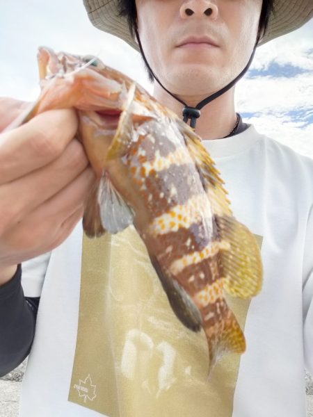 またも浜田港にて