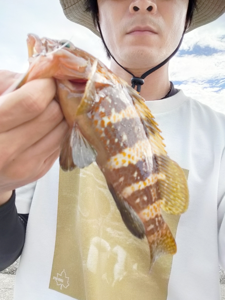 またも浜田港にて