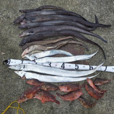 クロアナゴラッシュ有り、楽しい釣行