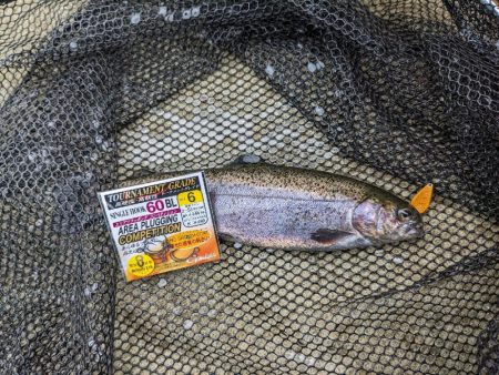 久々のエリアフィッシング〜