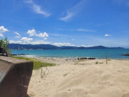 久しぶりのキス釣り