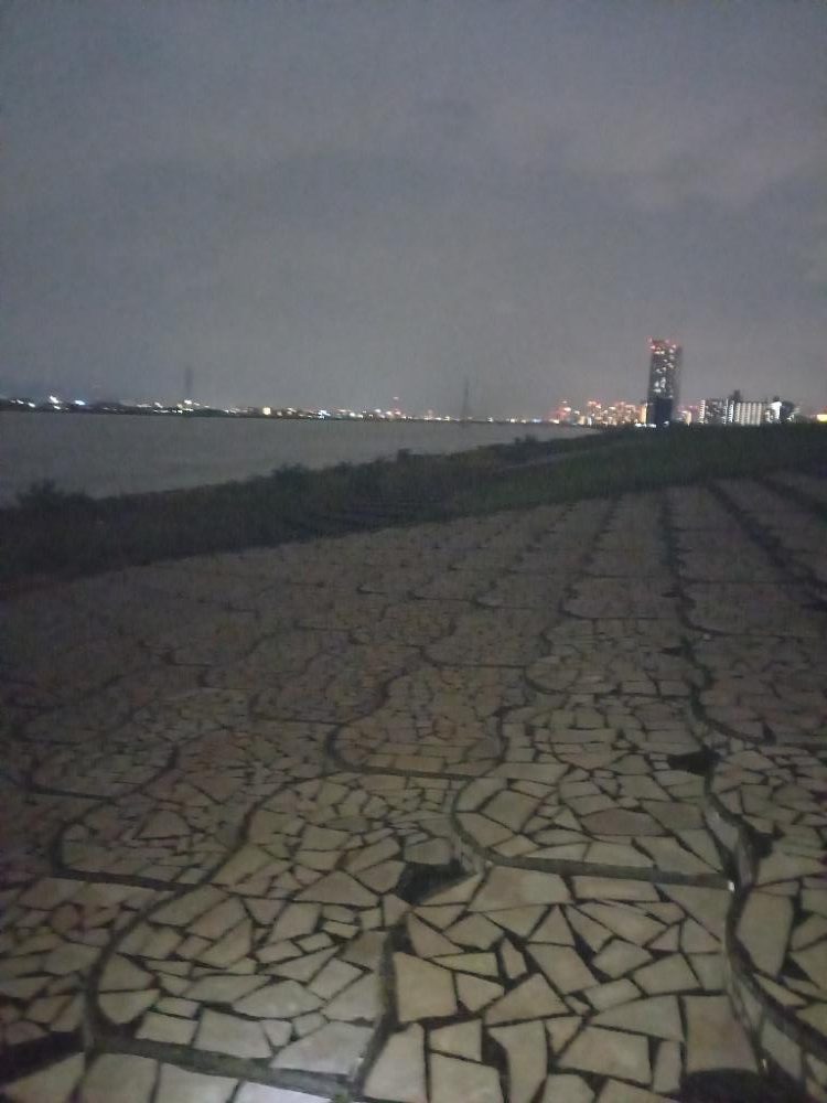 淀川うなぎ釣り