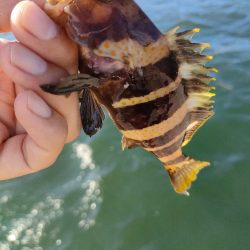 いつもの浜田港にて