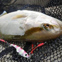 岬町スーパーライトショアジギング2