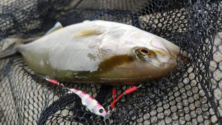 岬町スーパーライトショアジギング2