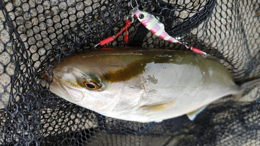 岬町スーパーライトショアジギング2