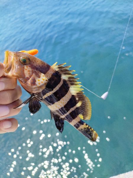 小潮にしては…