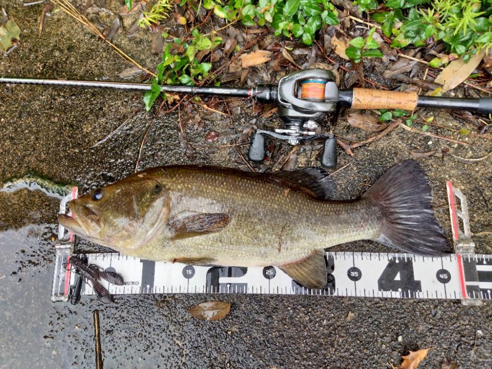ちょうど良い雨
